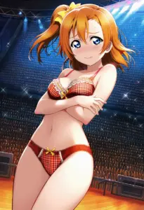 ステージで下着を露出させられる高坂穂乃果